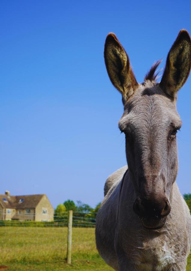 Banbury Hill Farm Bed & Breakfast